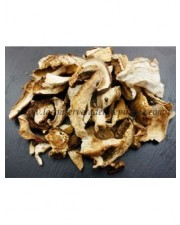 Boletus Edulis Pack 4 unidades